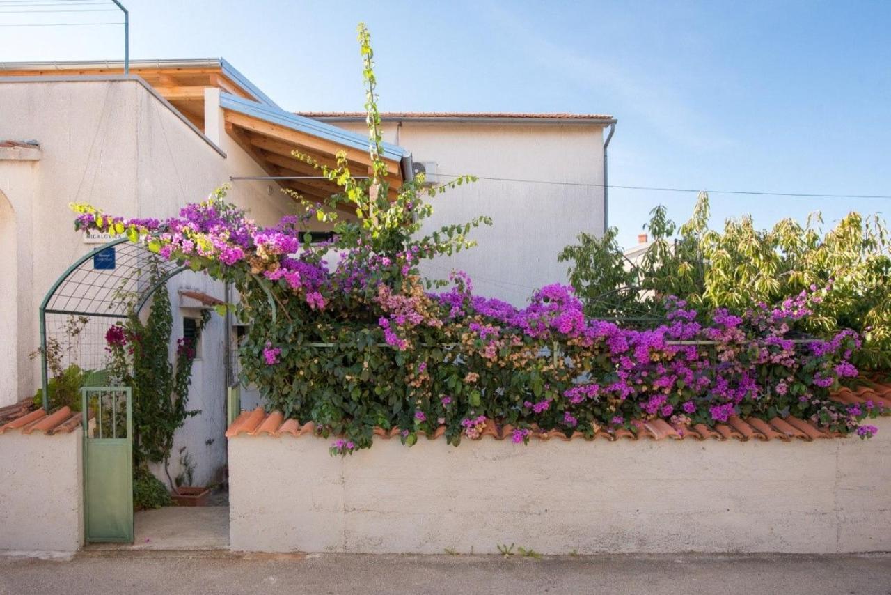 Apartments Anita Summer Vodice Kültér fotó